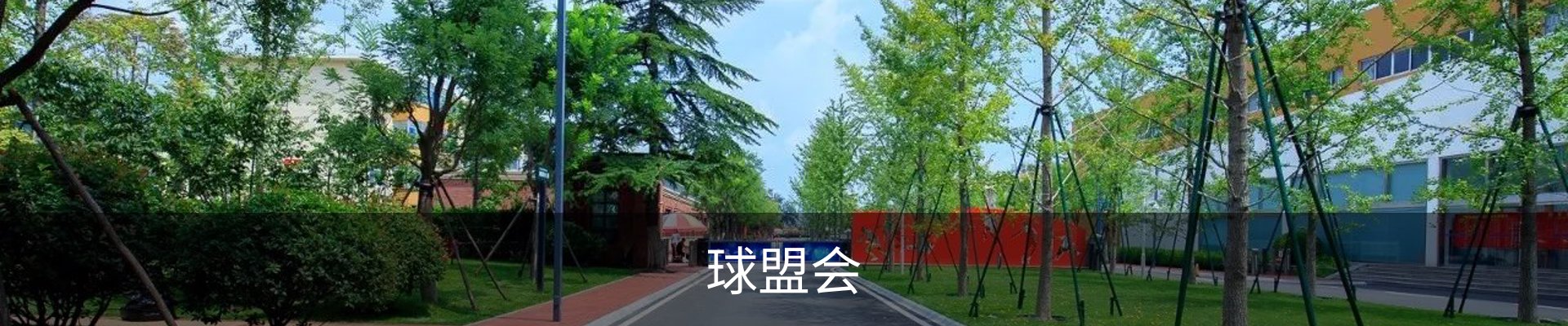 球盟会